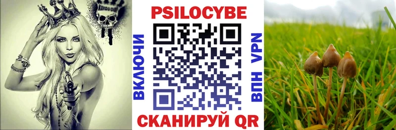 Галлюциногенные грибы Magic Shrooms  где продают   Слободской 